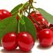 Amazing Health Benefits of Cherries
