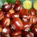Amazing Health Benefits of Chestnut