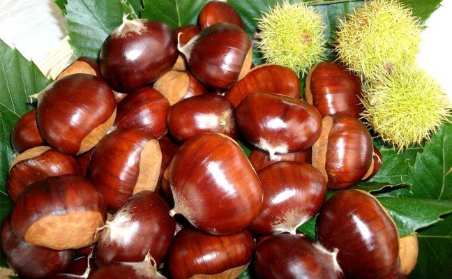Amazing Health Benefits of Chestnut
