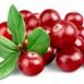 Amazing Health Benefits of Cranberry