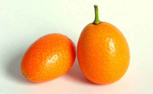 Amazing Health Benefits of Cumquat