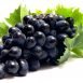 Amazing Health Benefits of Grapes