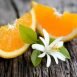 Amazing Health Benefits of Oranges