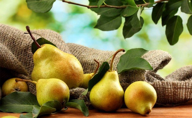 Amazing Health Benefits of Pear Amazing Health Benefits of Pear