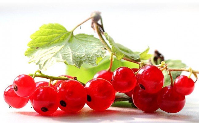 Amazing Health Benefits of Red Currants