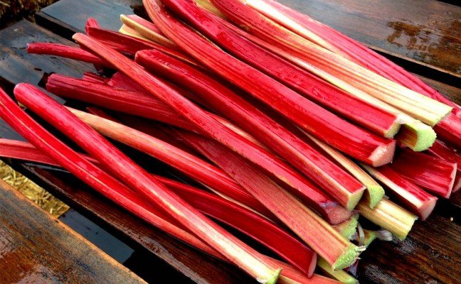 Amazing Health Benefits of Rhubarb