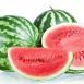 Amazing Health Benefits of Watermelon