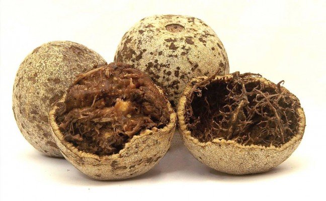 Amazing Health Benefits of Wood Apple Amazing Health Benefits of Wood Apple