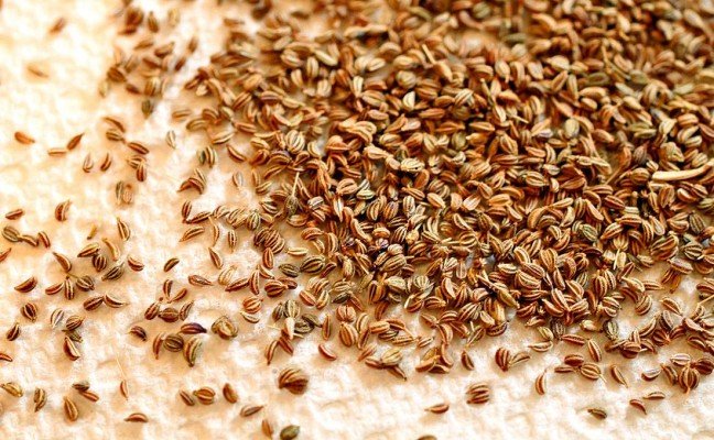 Health Benefits of Ajwain