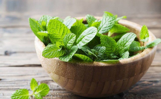 Health Benefits of Apple Mint