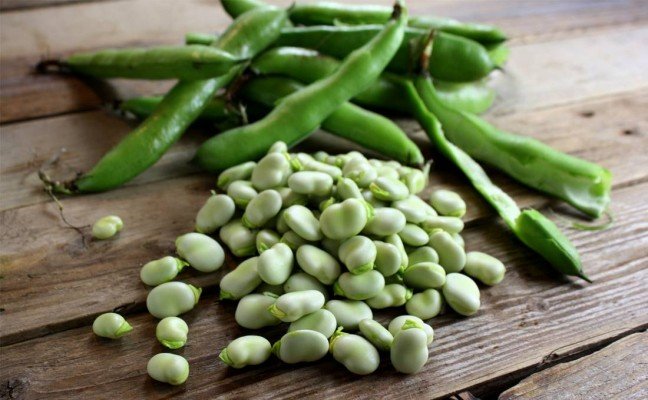 Health Benefits of Broad Beans