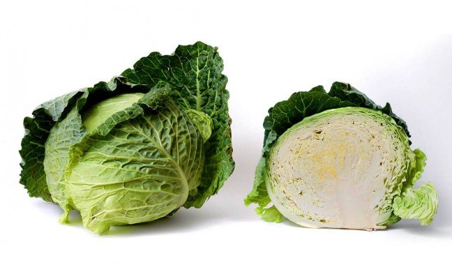 Health Benefits of Cabbage
