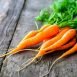 Health Benefits of Carrot