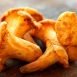 Health Benefits of Chanterelle Mushroom