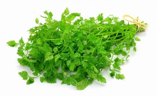 Health Benefits of Chervil