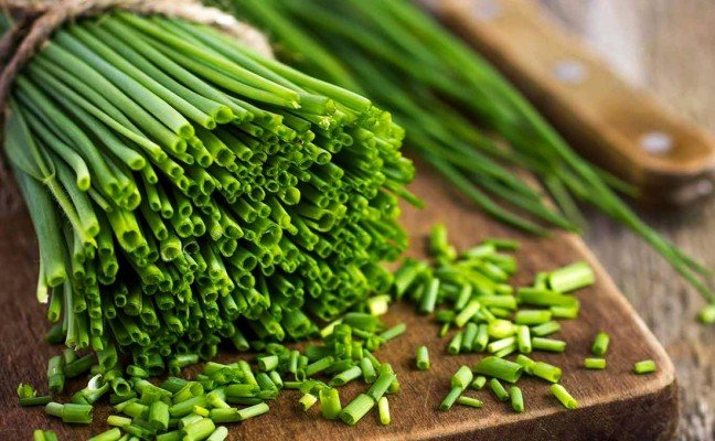 Health Benefits of Chive