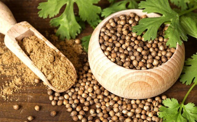 Health Benefits of Coriander Seeds