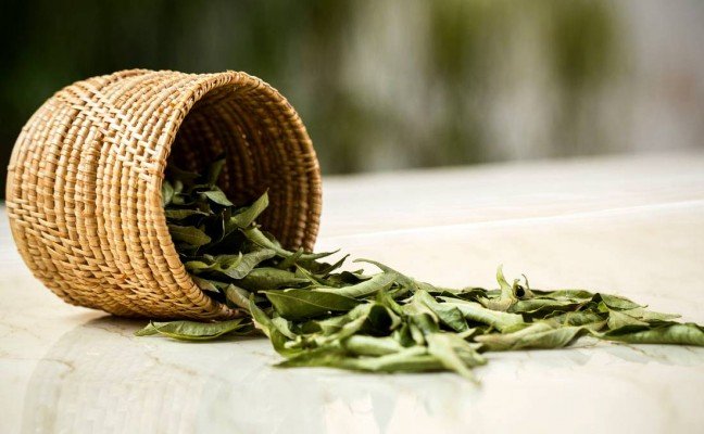Health Benefits of Curry Leaves