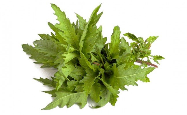 Health Benefits of Epazote