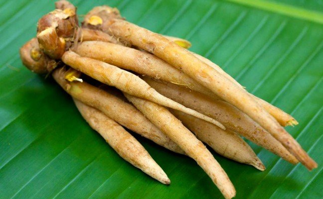 Health Benefits of Finger root