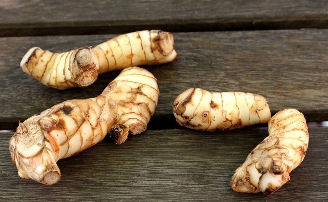 Health Benefits of Galangal