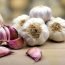 Health Benefits of Garlic