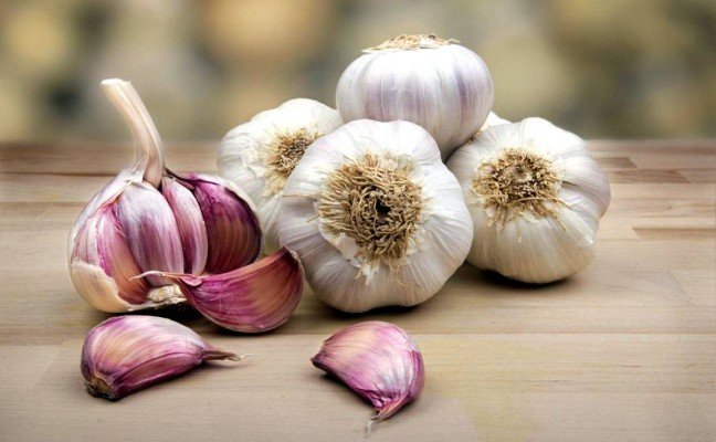 Health Benefits of Garlic