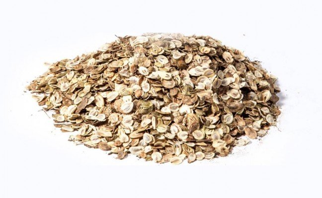 Health Benefits of Golpar