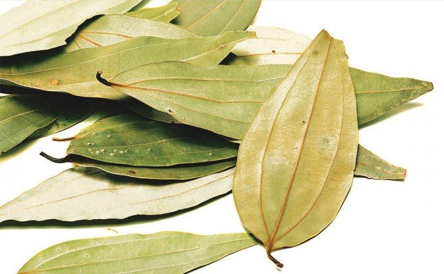Health Benefits of Indian Bay leaf