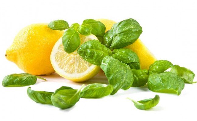 Health Benefits of Lemon Basil
