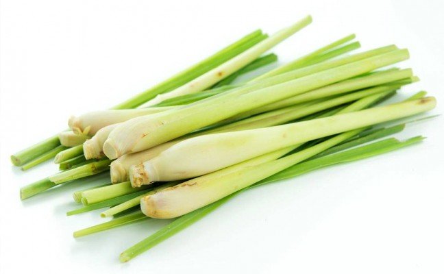 Health Benefits of Lemon Grass