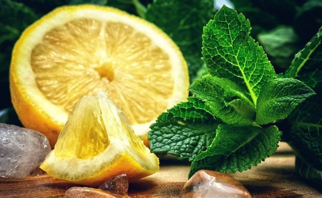 Health Benefits of Lemon Mint