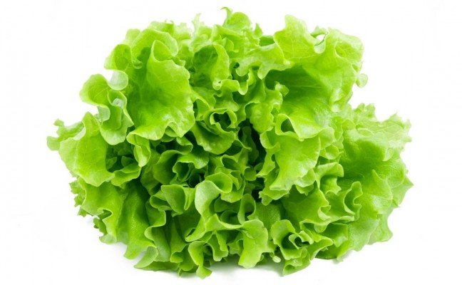 Health Benefits of Lettuce