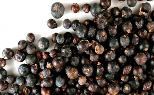 Health Benefits of Levant Berry