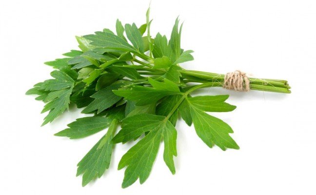 Health Benefits of Lovage