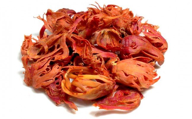Health Benefits of Mace
