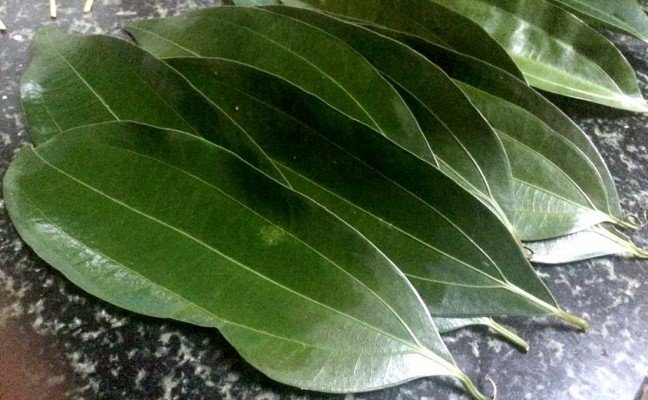 Health Benefits of Malabathrum