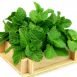 Health Benefits of Mint