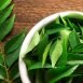 Health Benefits of Neem