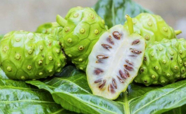 Health Benefits of Noni