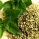 Health Benefits of Oregano