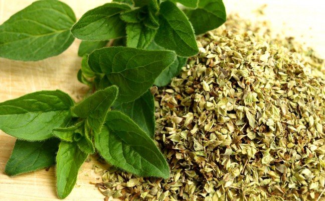 Health Benefits of Oregano