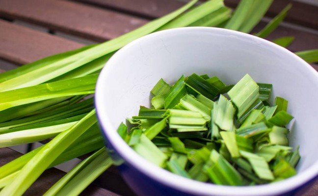 Health Benefits of Pandana Leaves