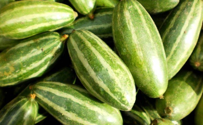 Health Benefits of Parbal