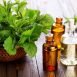 Health Benefits of Peppermint Oil