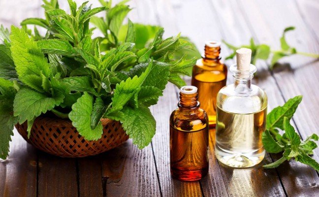 Health Benefits of Peppermint Oil