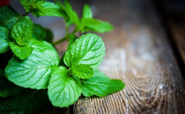 Health Benefits of Peppermint