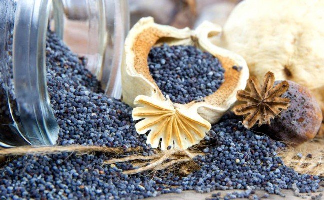 Health Benefits of Poppy Seeds