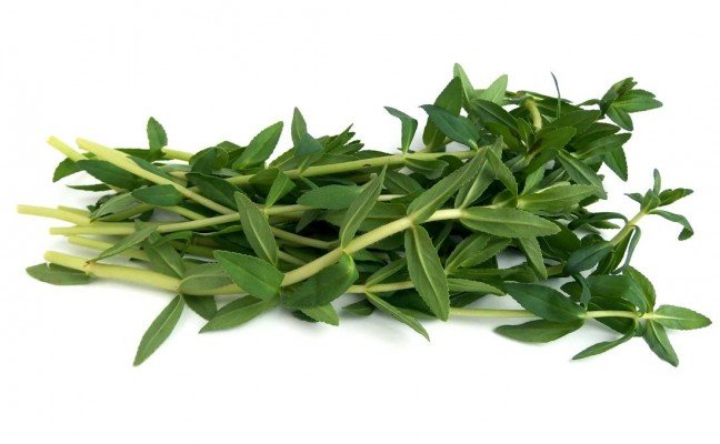 Health Benefits of Rice Paddy Herb