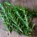 Health Benefits of Rosemary